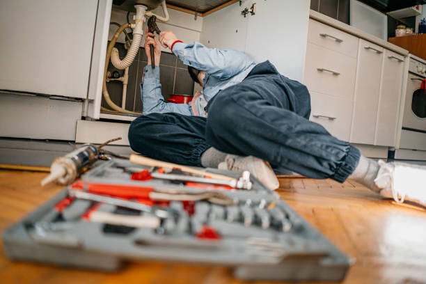 Best Same-Day Plumbing Service  in Schler Park, IL
