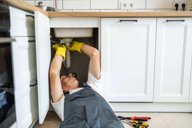 Best Shower Repair Services  in Schler Park, IL