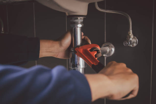  Schler Park, IL Plumbing Pros